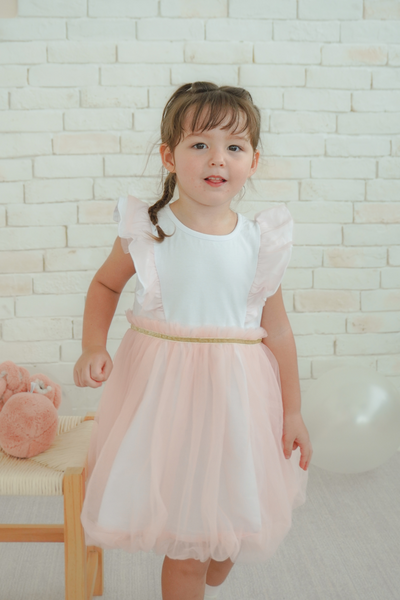 Girl Fairy Tulle Dress in Blush Pink